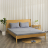 Đệm Bông Ép Essentials KMS_K-Bedding
