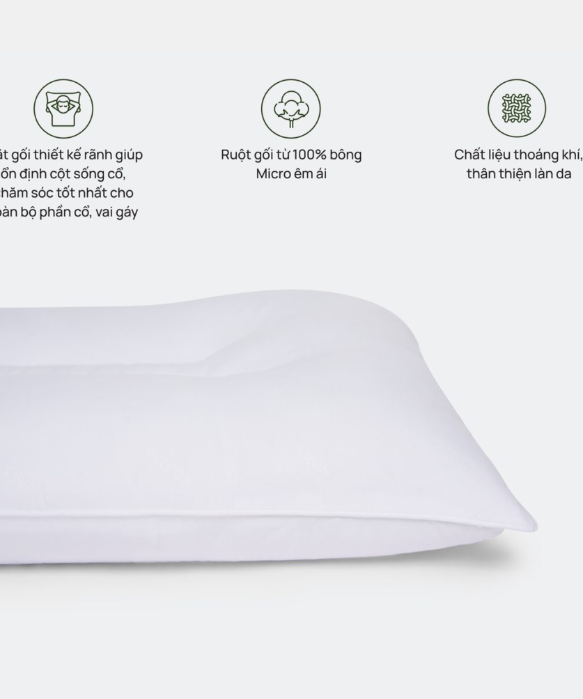 Ruột gối Thư giãn cổ